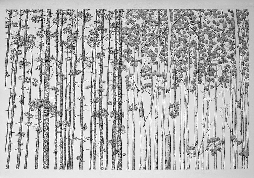 Trees, by man - 1 India Ink on paper. 1000 x 700mm