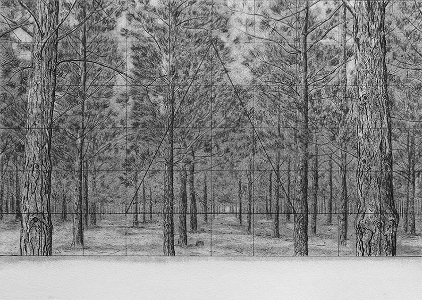 Trees, by man - 7 India Ink & charcoal on paper. 420 x 295mm
