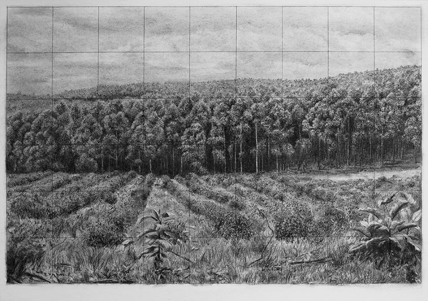 Trees, by man - 9 India Ink & charcoal on paper. 700 x 550mm