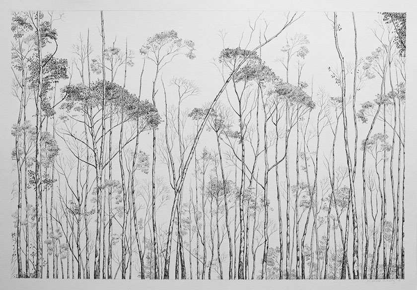 Trees, by man - 16 India Ink on paper. 495 x 345mm