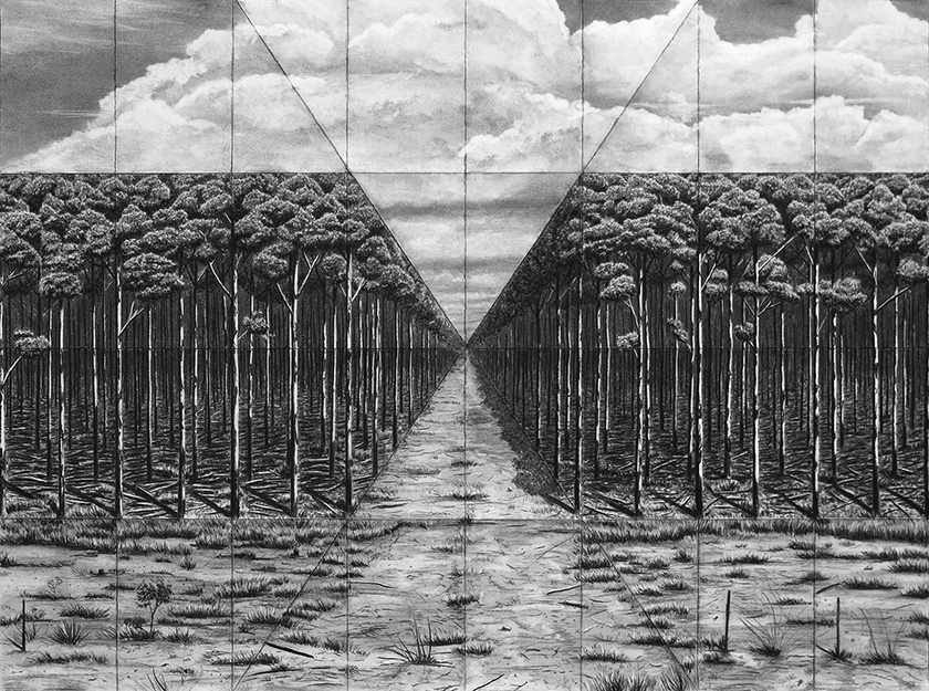 Trees By Man - 18 (folded grid) India Ink on paper. 1000 x 700 mm