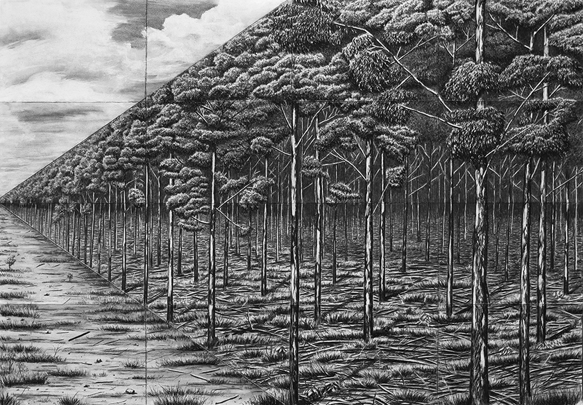 Trees By Man - 19 (folded grid) India Ink on paper. 1000 x 700 mm