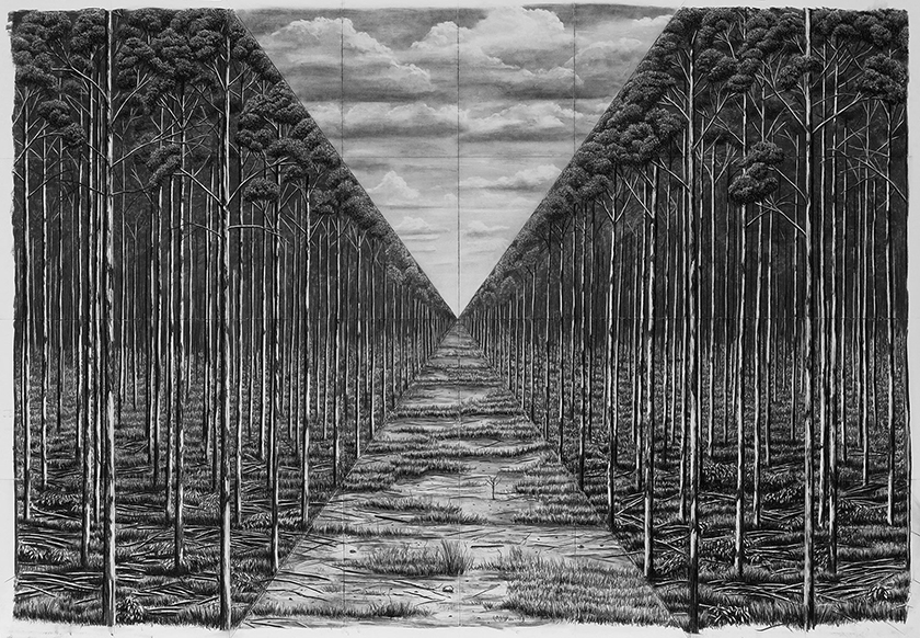 Trees By Man - 20 (folded grid) Charcoal on paper. 1800 x 1250 mm