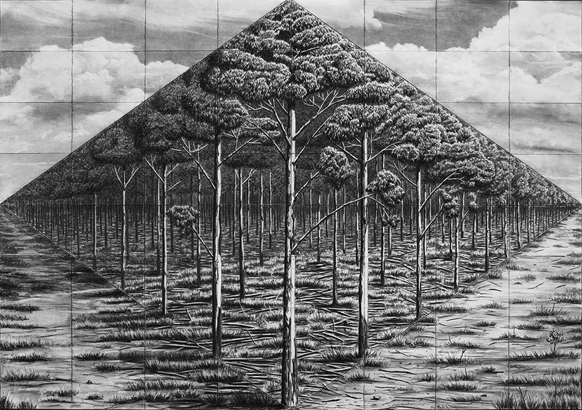 Trees By Man - 21 (folded grid) India Ink on paper. 1000 x 700 mm