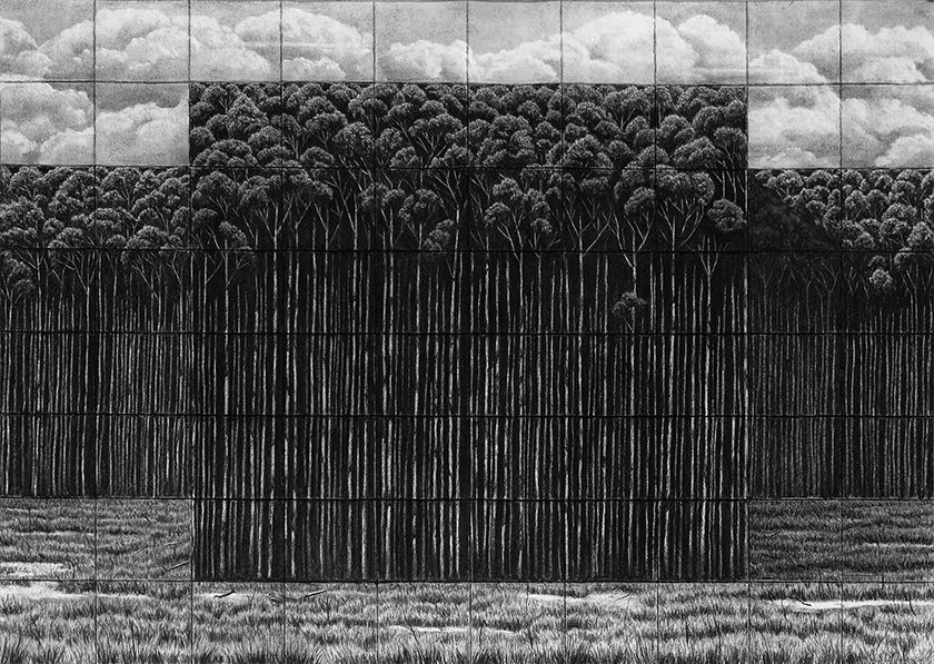 Trees By Man - 22 (folded grid) India Ink on paper. 1000 x 700 mm