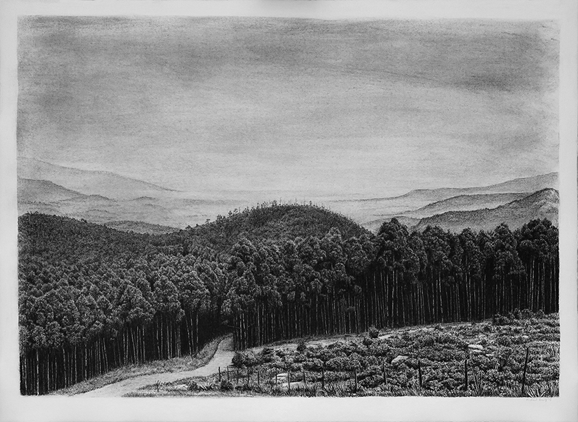 Trees By Man - 23 India Ink on paper. 1070 x 790mm