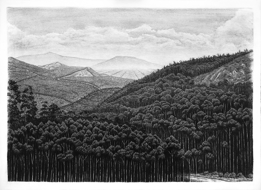 Trees By Man - 24 India Ink on paper. 1070 x 790mm