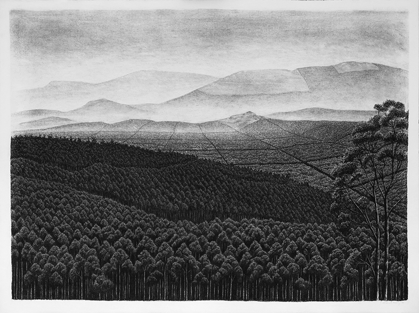 Trees By Man - 25 India Ink on paper. 1070 x 790mm