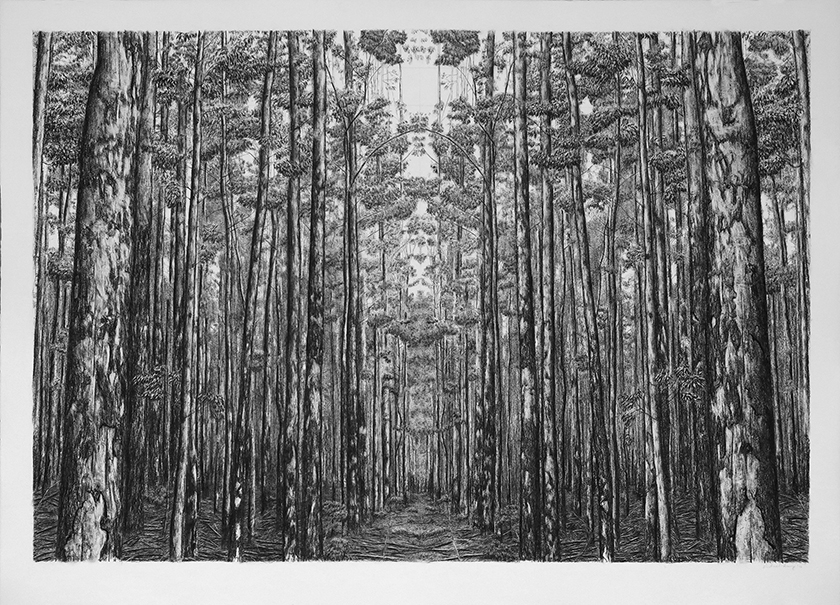 Trees By Man - 27 India Ink on paper. 1070 x 790mm