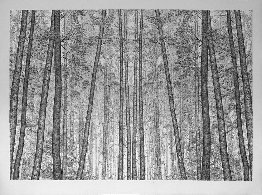 Trees By Man - 28 India Ink on paper. 1070 x 790mm