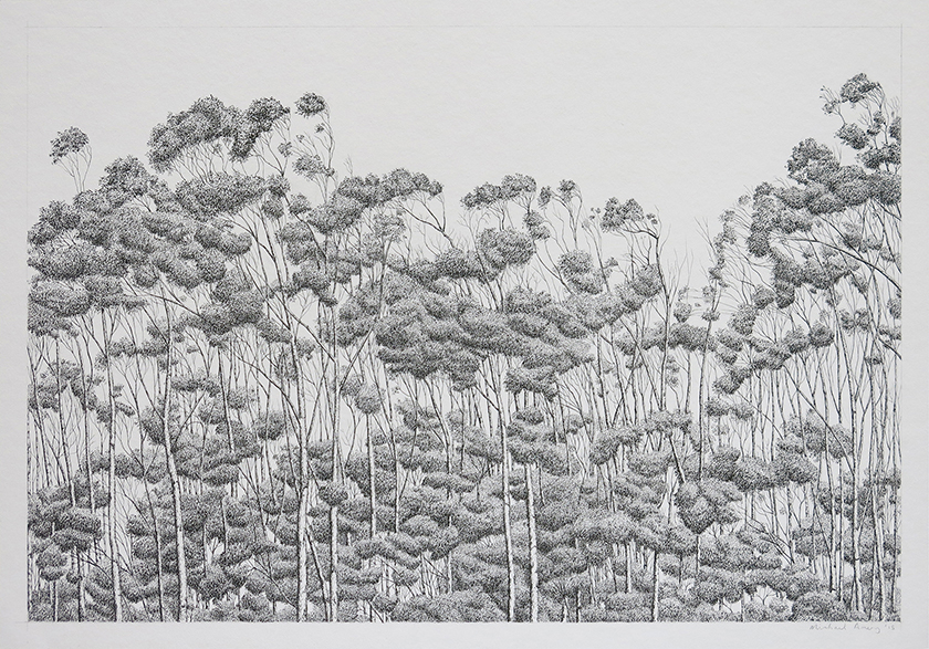 Trees By Man - 29 India Ink on paper. 495 x 345mm