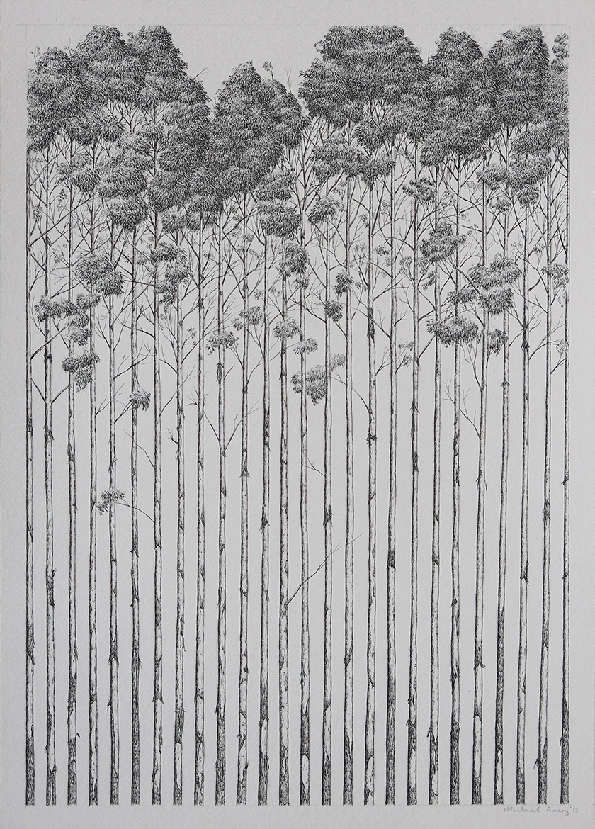 Trees By Man - 33 India Ink on paper. 495 x 345mm