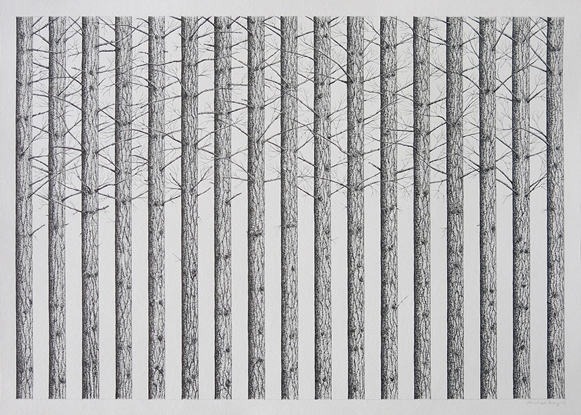 Trees By Man - 34 India Ink on paper. 700 x 550mm