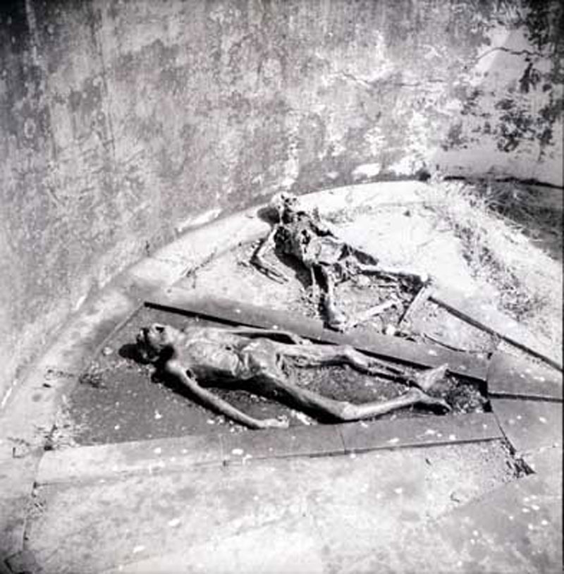 ritual mayat zoroaster