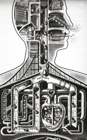 Fritz Kahn: Human Body as an Industrialized World – SOCKS