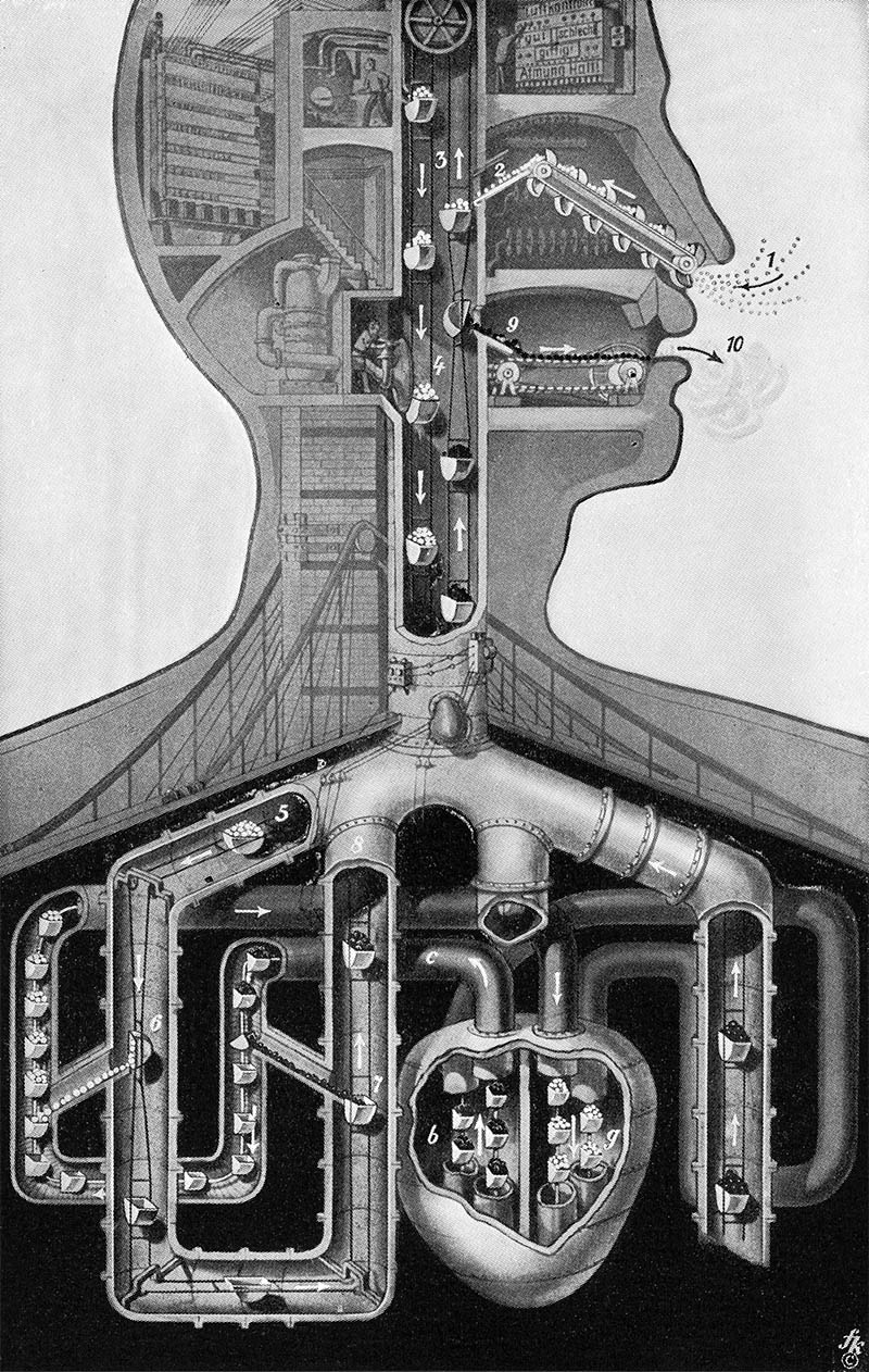 Fritz Kahn: Human Body as an Industrialized World – SOCKS