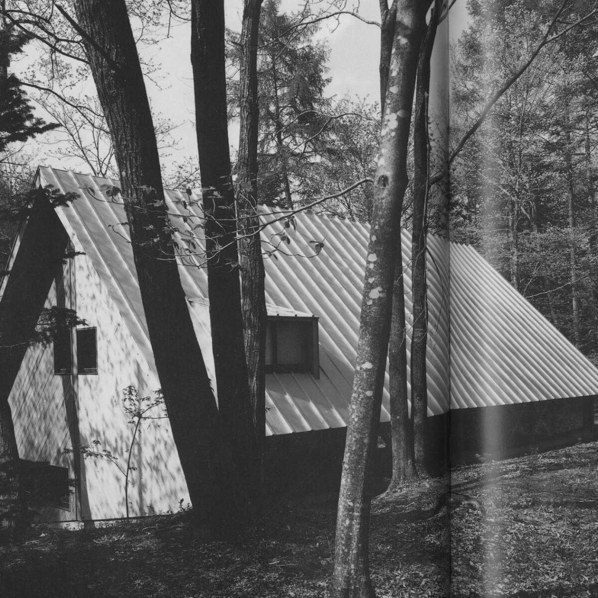 An Encounter with “Naked Space”: The Tanikawa House by Kazuo